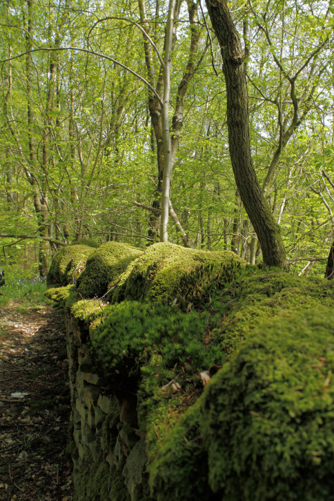 Abney Clough Abney Clough